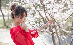 品色堂免费图片